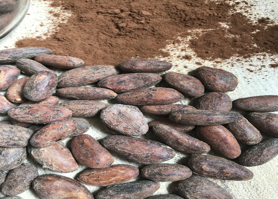 فريد زبدة الغذاء الصف زبدة الكاكاو ، زبدة الكاكاو العضوي النقي للطبخ